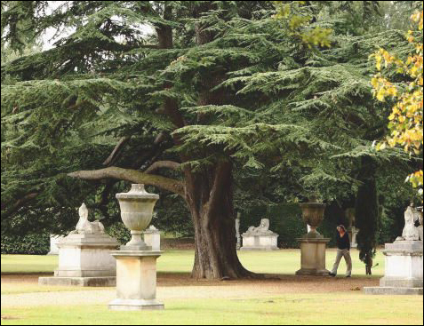 Absolute Elsewhere: The Spirit of John Lennon: Some Fab Extras: The Beatles: Chiswick House